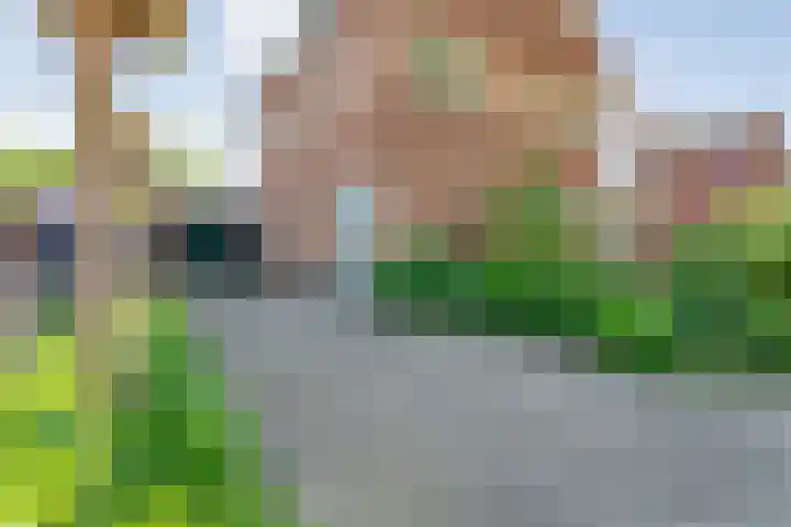 Hofstedelaan 19 Raalte thumbnail 8