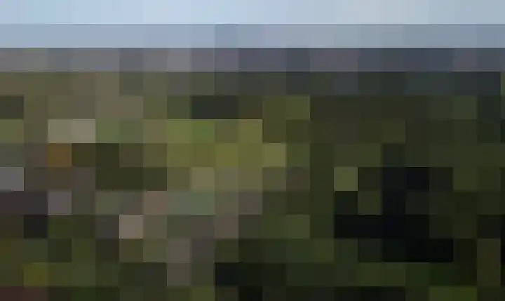 Hofstedelaan 20 Rijswijk thumbnail 8