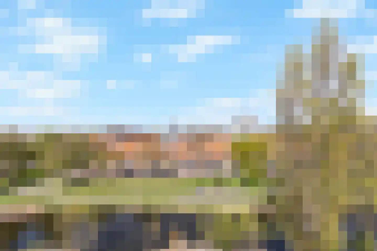 Hofstedelaan 46 Rijswijk thumbnail 24
