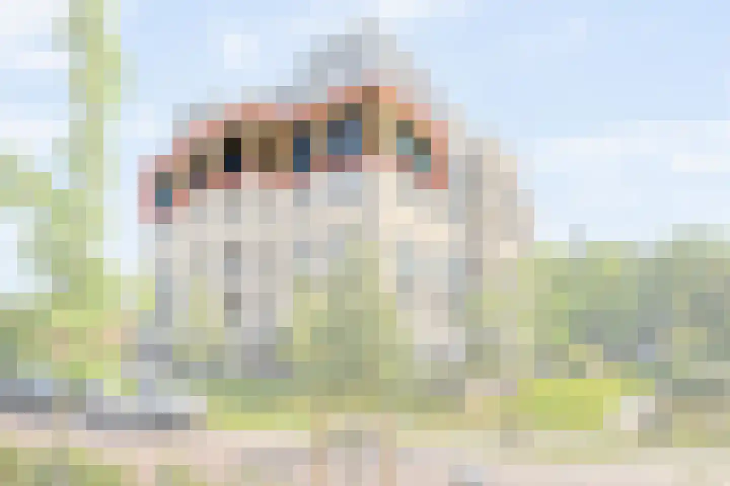Hofstedelaan 46 Rijswijk foto 3