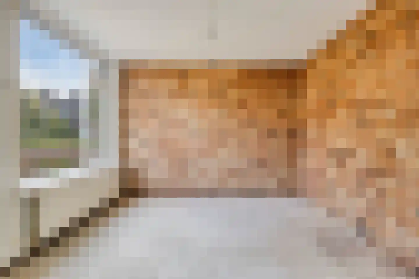 Hofstedenlaan 21 's-Hertogenbosch thumbnail 14