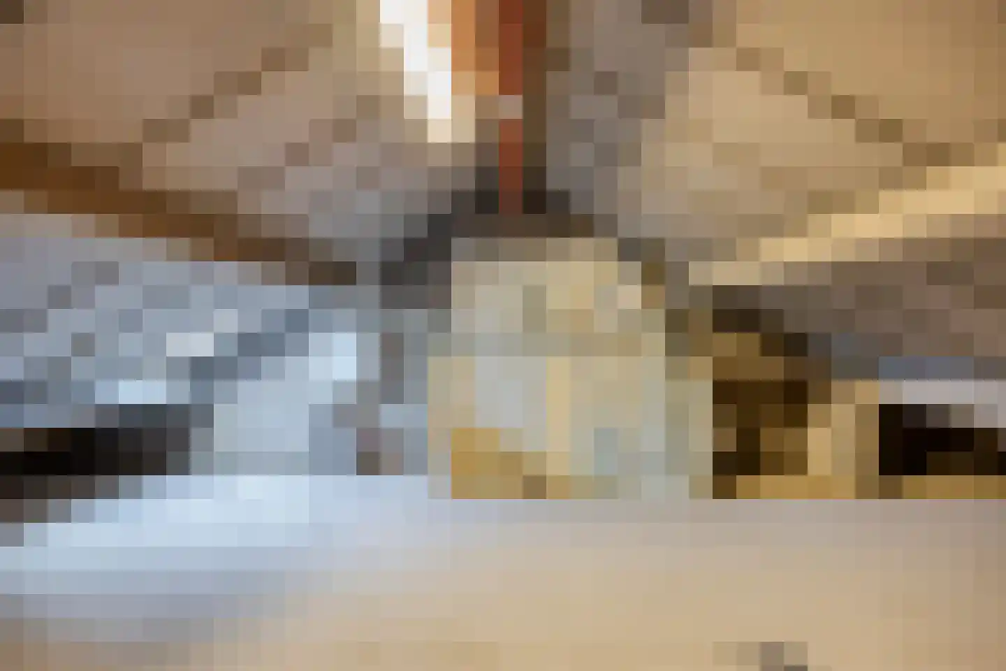 Hofstedenlaan 21 's-Hertogenbosch thumbnail 32