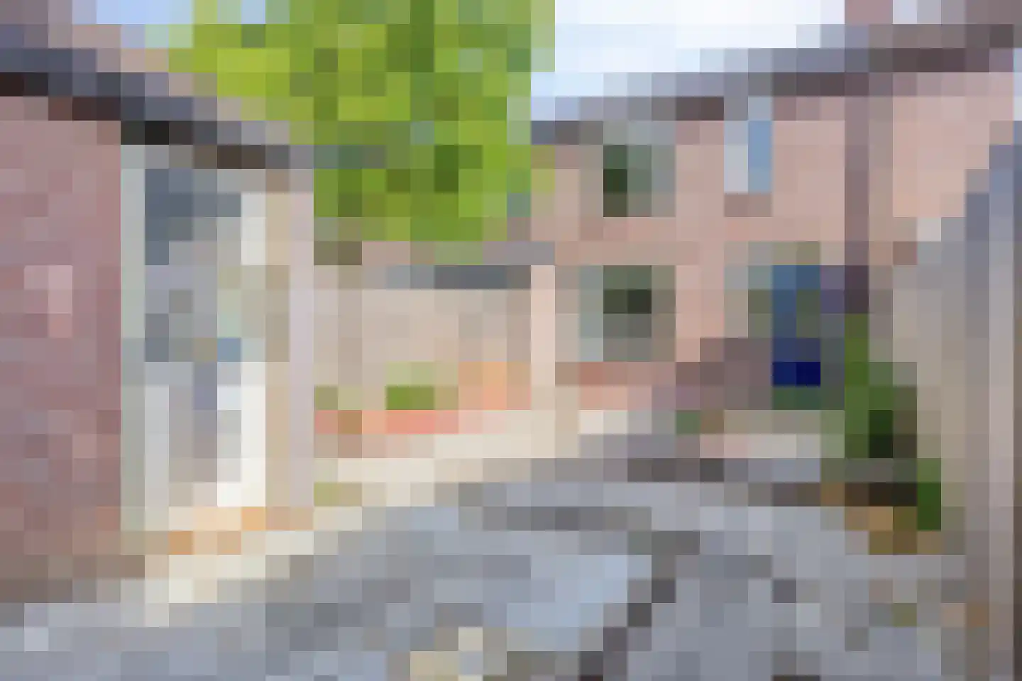 Hofstedenlaan 21 's-Hertogenbosch thumbnail 35