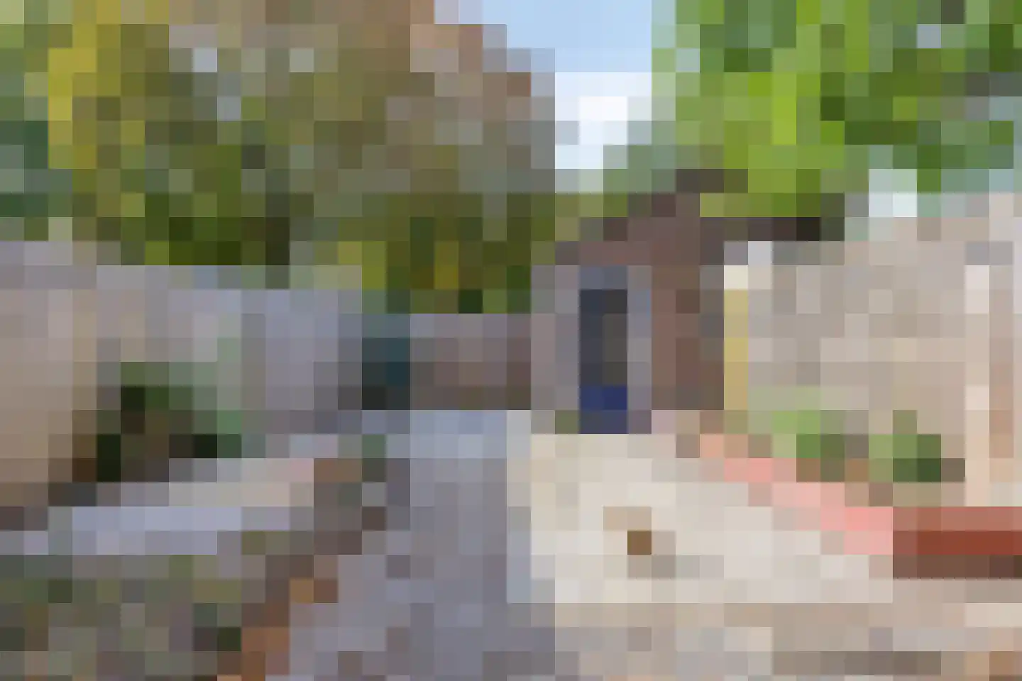 Hofstedenlaan 21 's-Hertogenbosch thumbnail 36