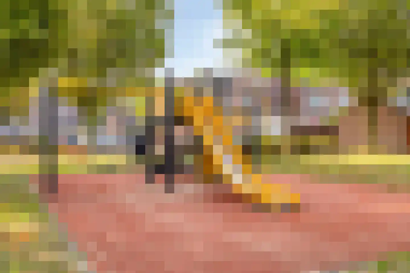 Hofstedenlaan 21 's-Hertogenbosch thumbnail 38