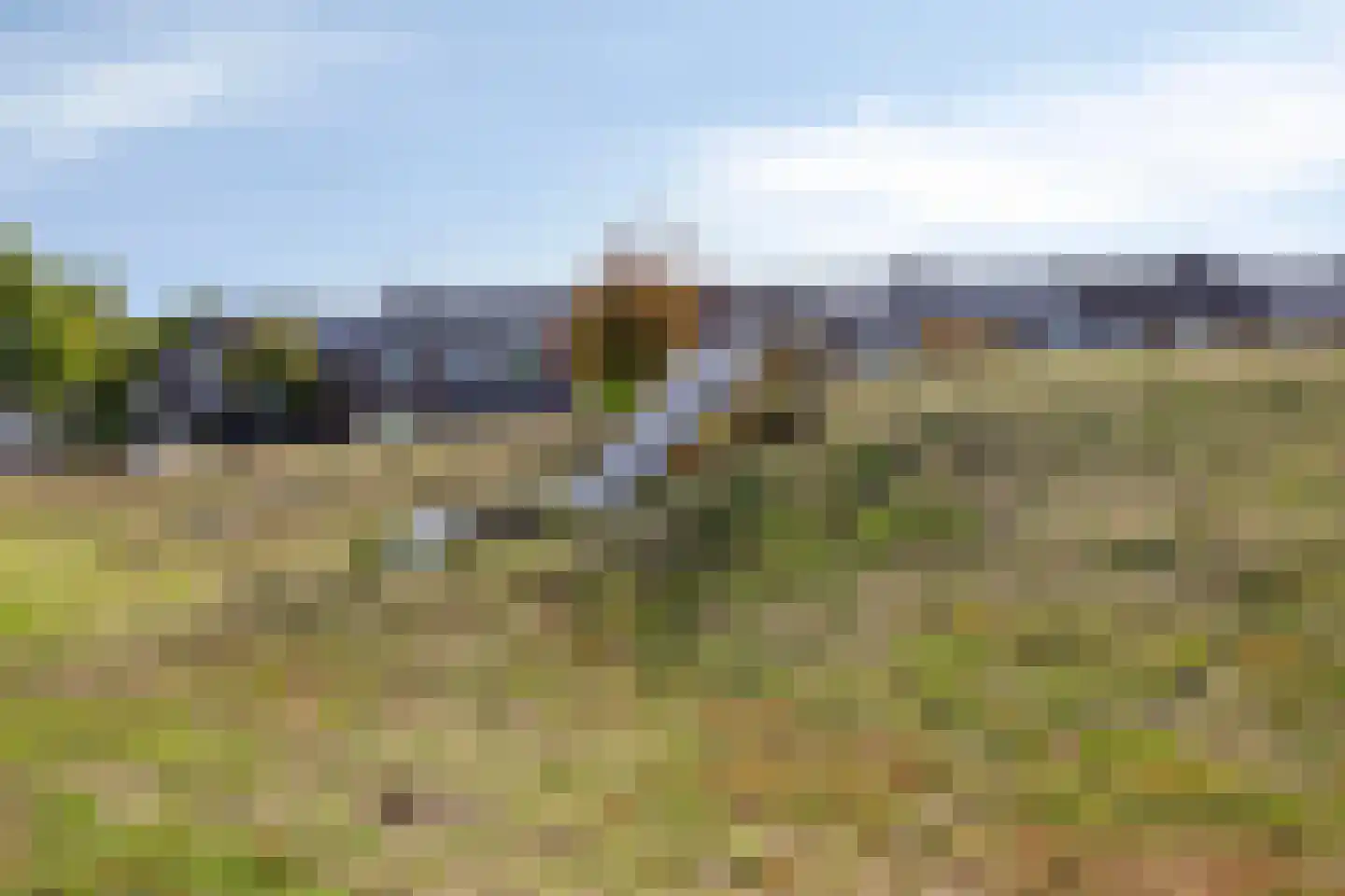Hofstedenlaan 21 's-Hertogenbosch thumbnail 39