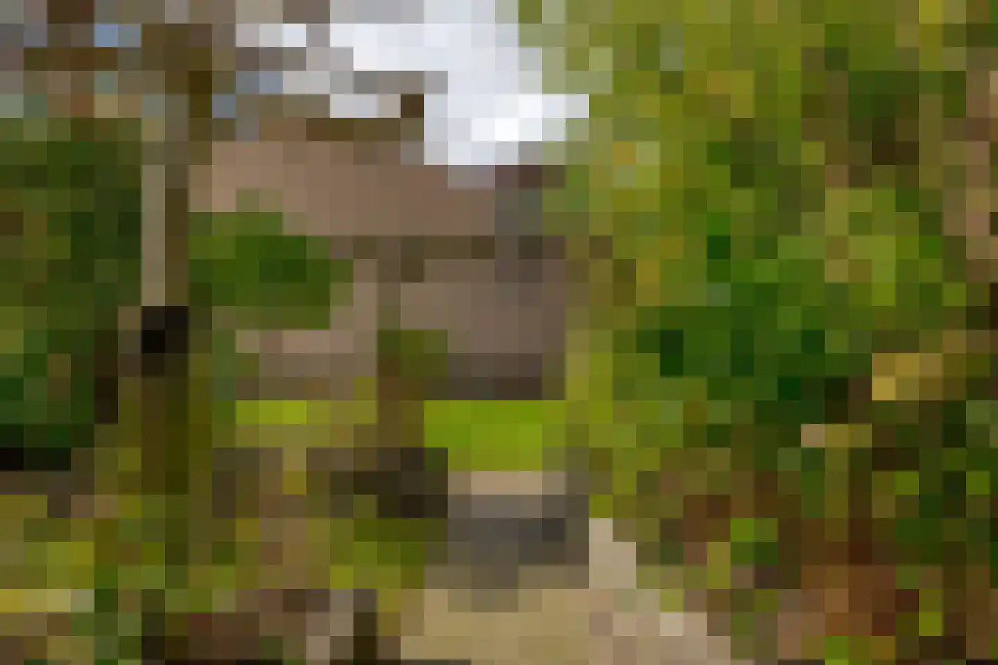 Hofstedenlaan 39 Roden thumbnail 11