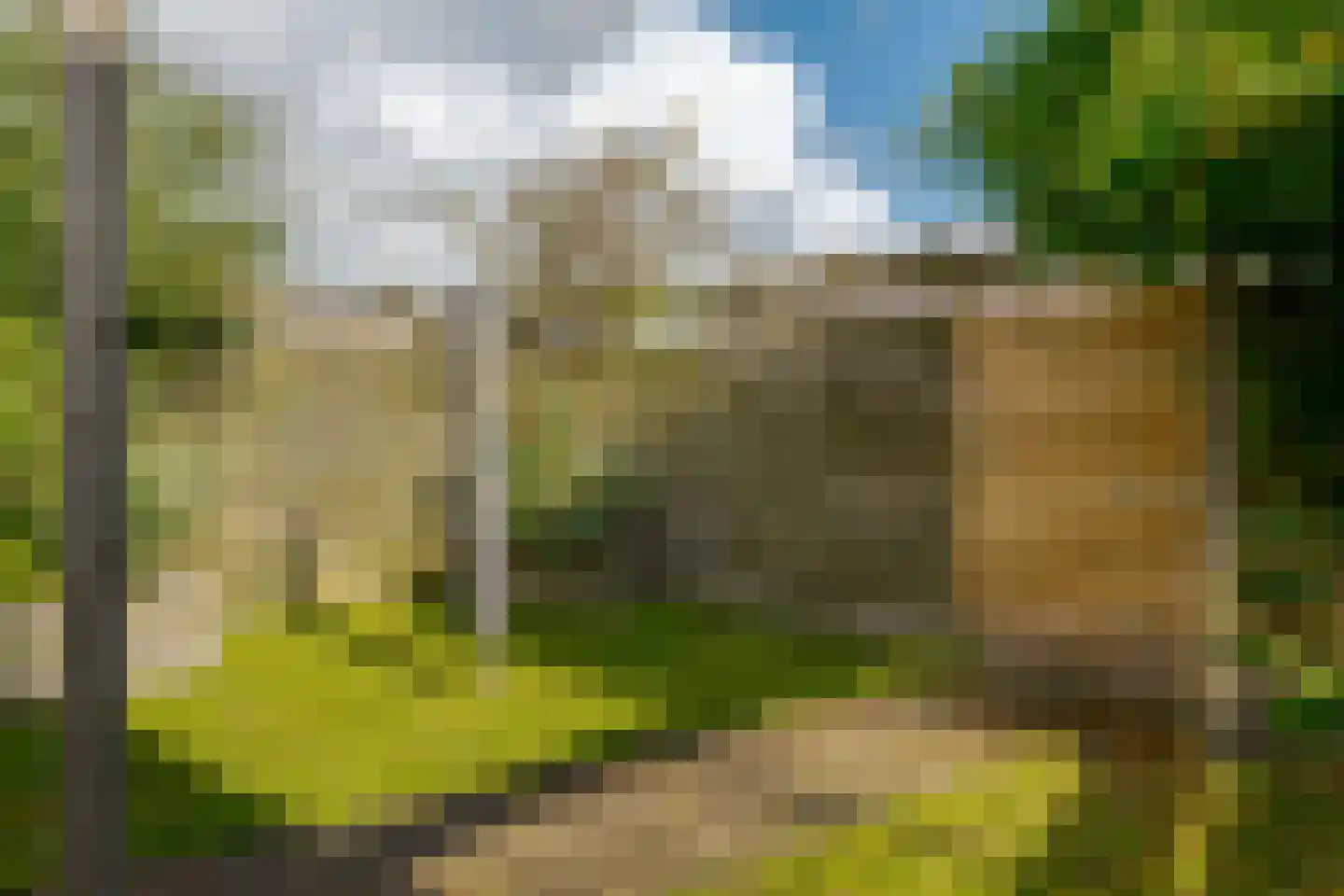Hofstedenlaan 39 Roden thumbnail 36