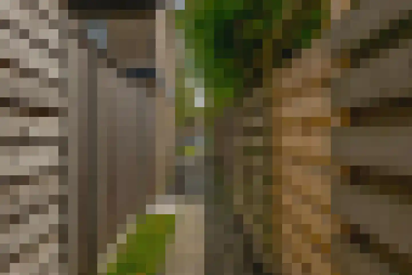 Hofstedenlaan 39 Roden thumbnail 37