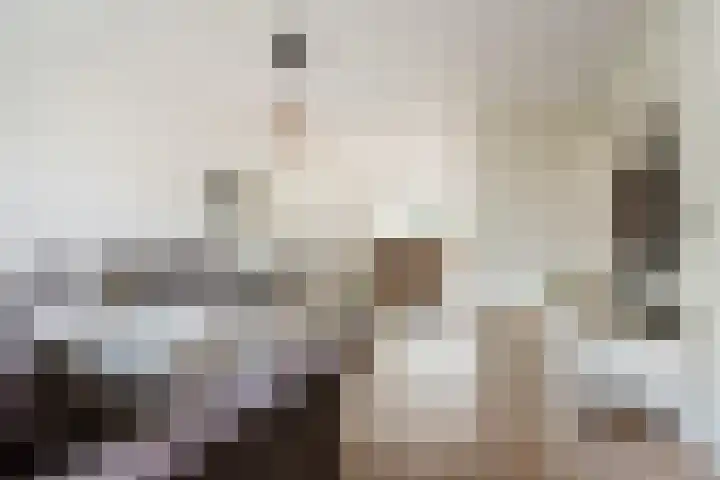 Hofstedenlaan 91 's-Hertogenbosch thumbnail 11