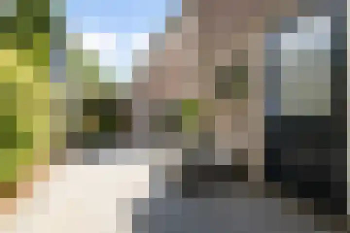 Hofstedenlaan 91 's-Hertogenbosch thumbnail 18