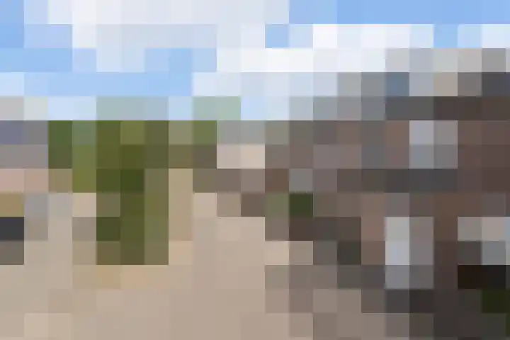 Hofstedenlaan 91 's-Hertogenbosch thumbnail 36
