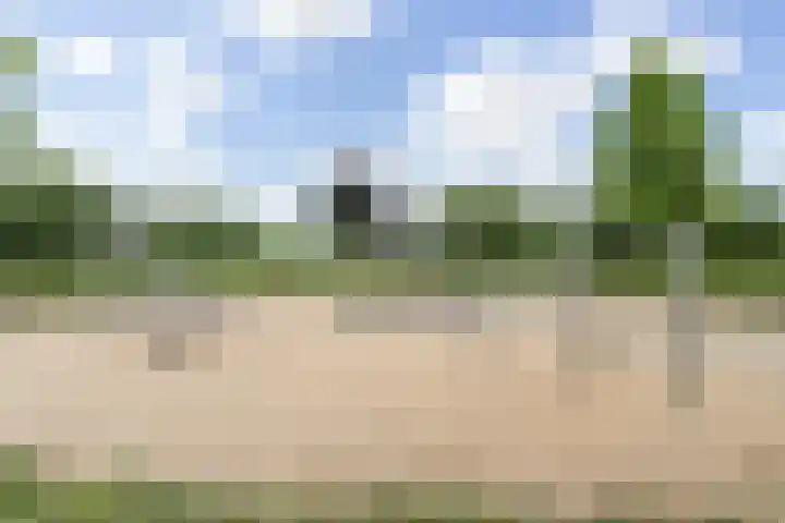 Hofstedenlaan 91 's-Hertogenbosch thumbnail 37