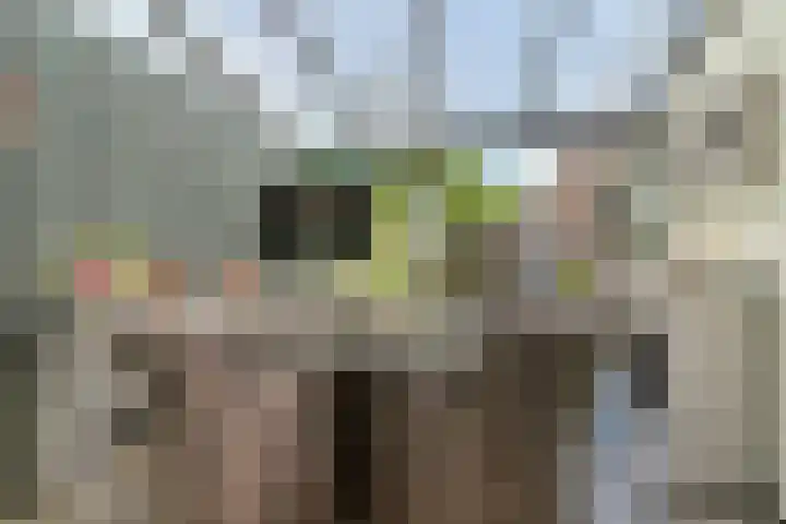 Hofstedenlaan 91 's-Hertogenbosch thumbnail 4