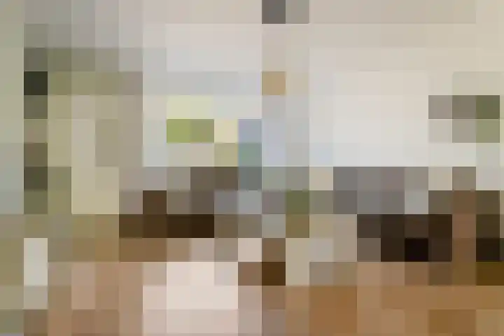 Hofstedenlaan 91 's-Hertogenbosch thumbnail 8