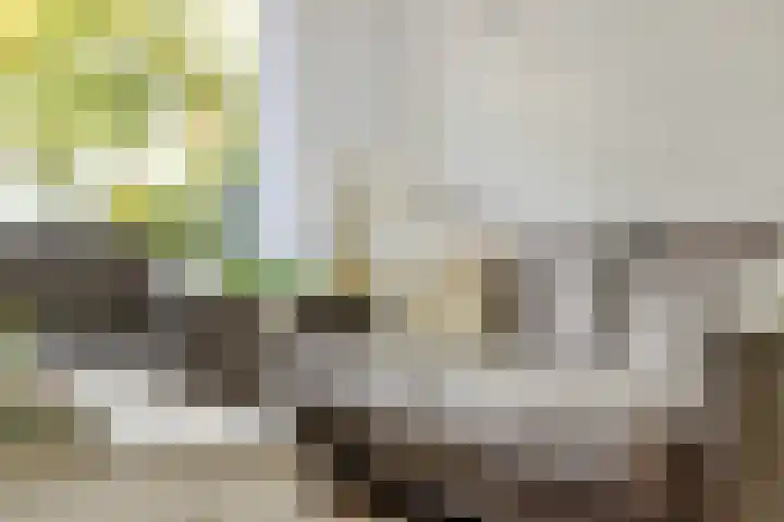 Hofstedenlaan 91 's-Hertogenbosch thumbnail 9