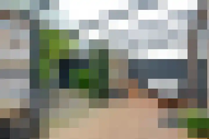 Hofstedering 108 Soest thumbnail 17