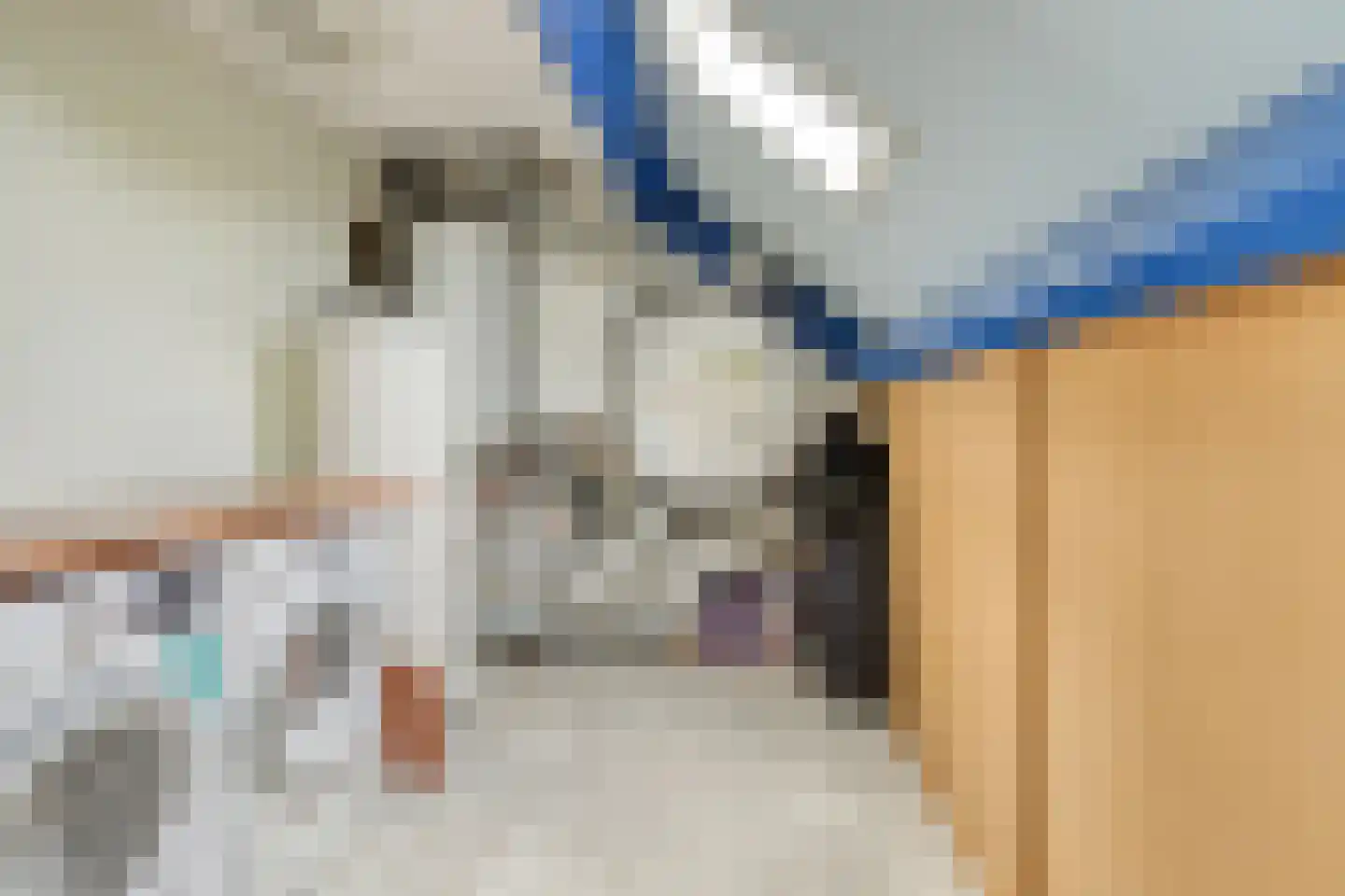 Hofstedering 311 Soest thumbnail 22
