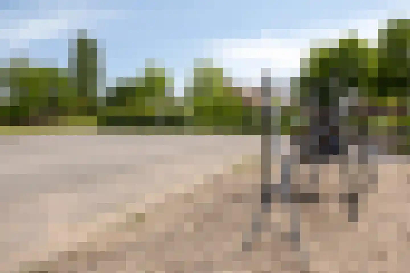 Hofstedering 311 Soest thumbnail 35