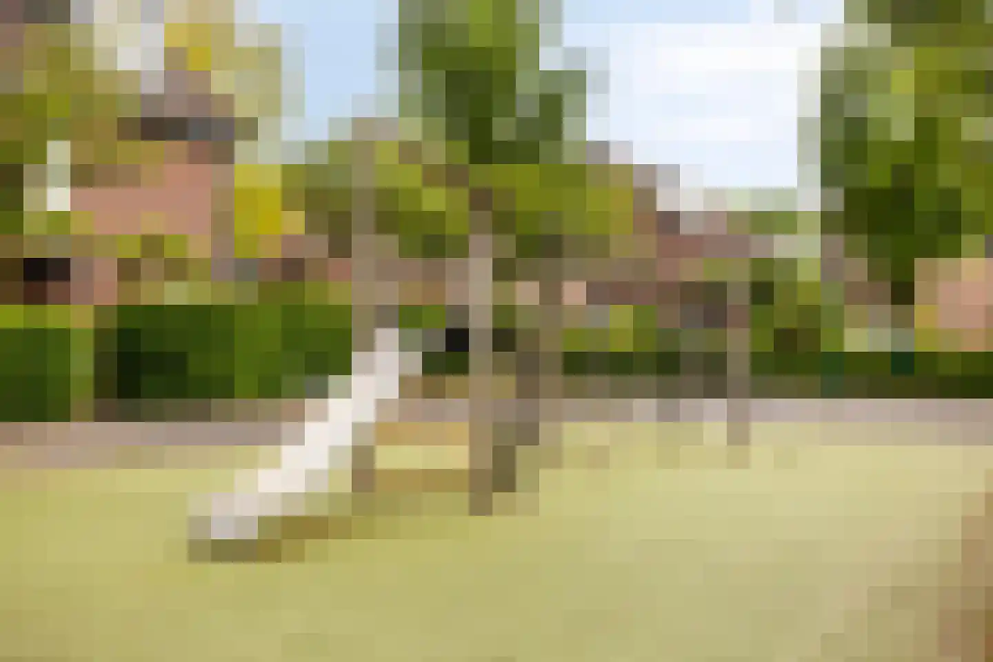 Hofstedering 311 Soest thumbnail 36