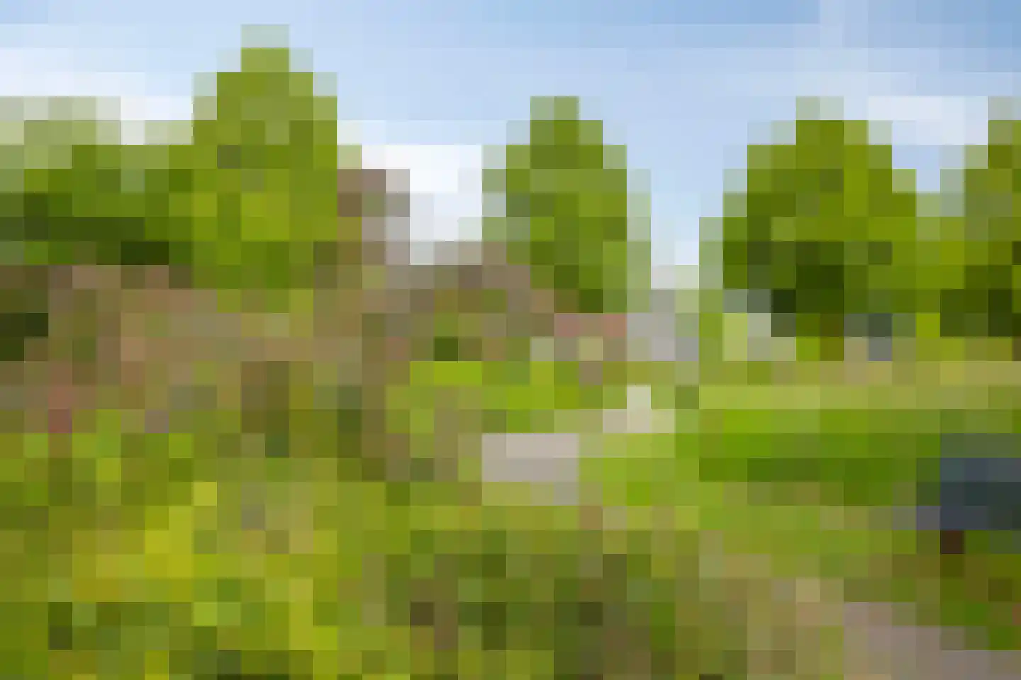 Hofstedering 311 Soest thumbnail 37
