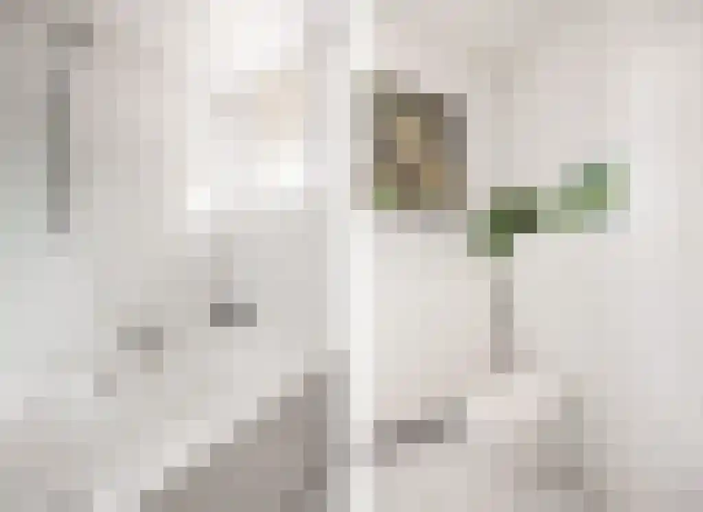 Hofstedering 62 Soest thumbnail 22