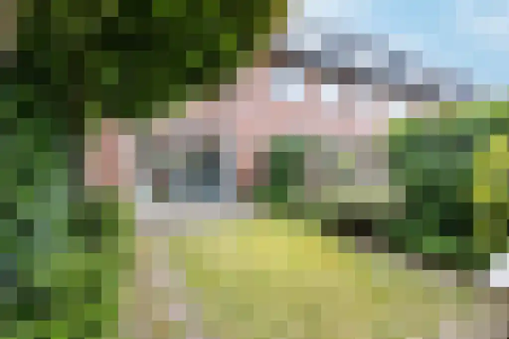 Hofstedering 62 Soest thumbnail 28