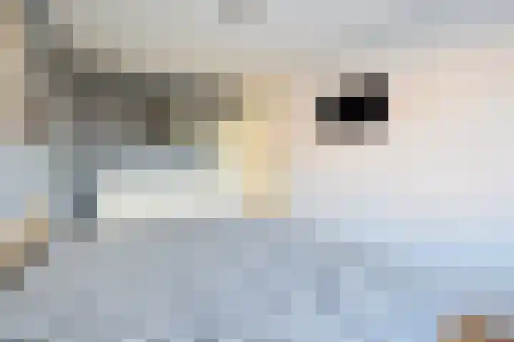 Hofstedering 90 Soest thumbnail 18