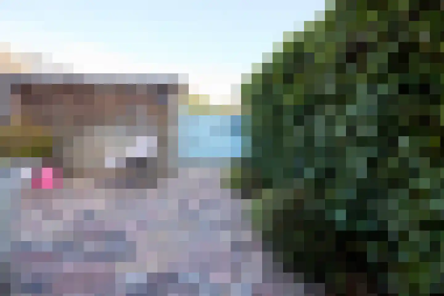 Hofstedering 90 Soest thumbnail 31