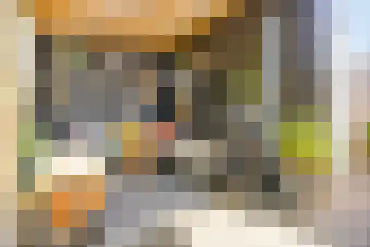 Hofstedestraat 18 Zwolle thumbnail 31