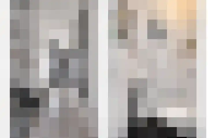 Hofstedestraat 18 Zwolle thumbnail 4