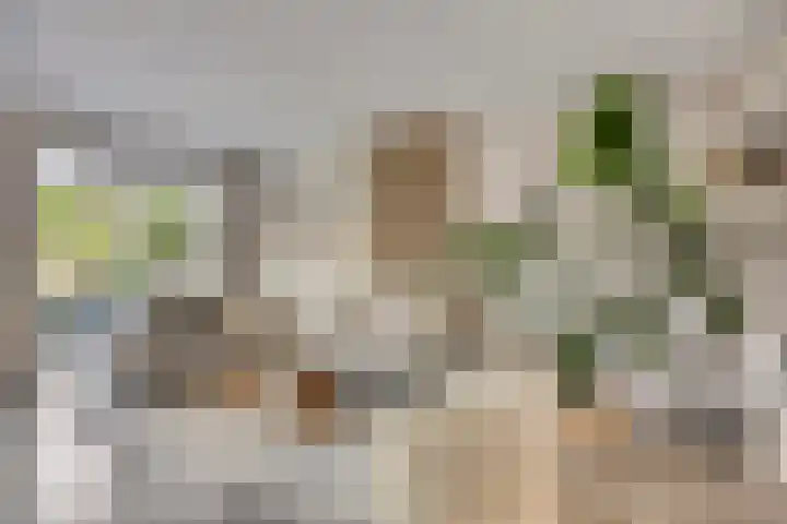 Hofstedestraat 18 Zwolle thumbnail 5