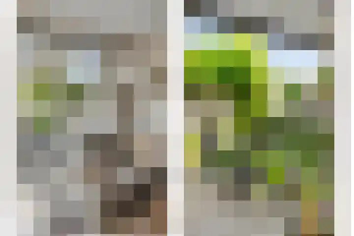 Hofstedestraat 18 Zwolle thumbnail 6