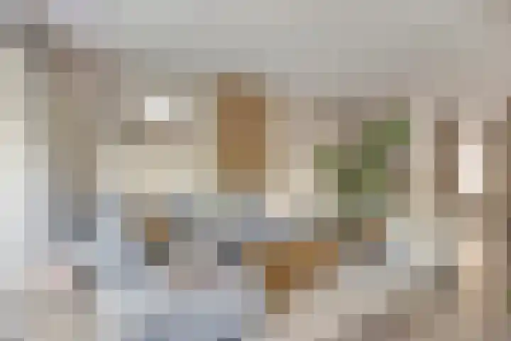 Hofstedestraat 18 Zwolle thumbnail 7