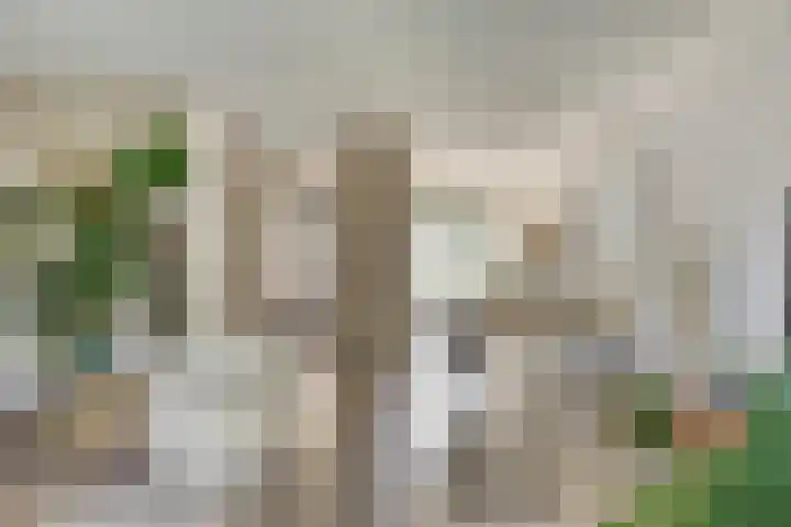 Hofstedestraat 18 Zwolle thumbnail 9