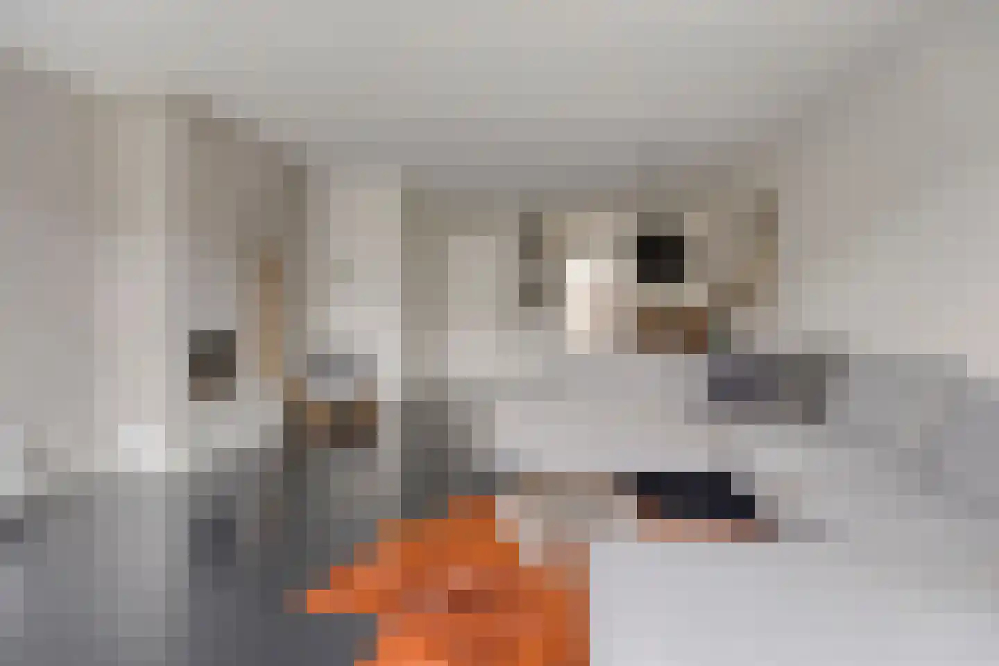 Hofstedestraat 24 Zwolle thumbnail 4