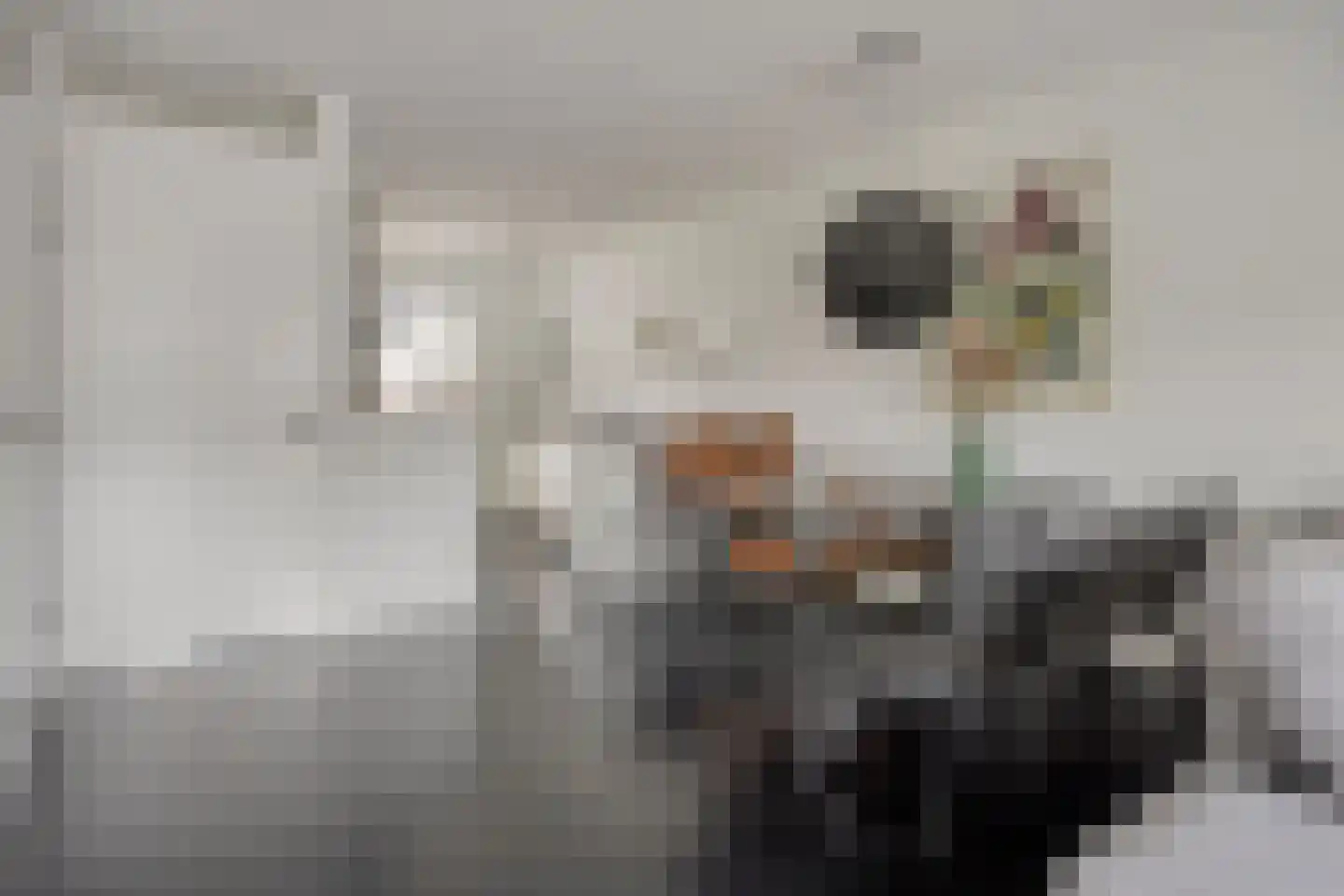 Hofstedestraat 24 Zwolle thumbnail 6