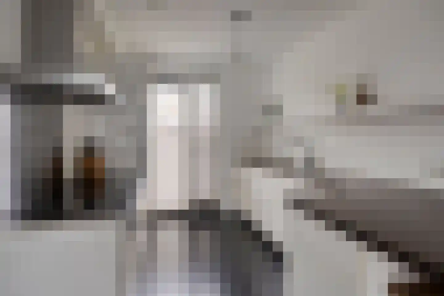 Hofstedestraat 24 Zwolle thumbnail 8