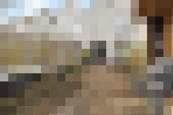 Hofstedestraat 3 Almere thumbnail 31