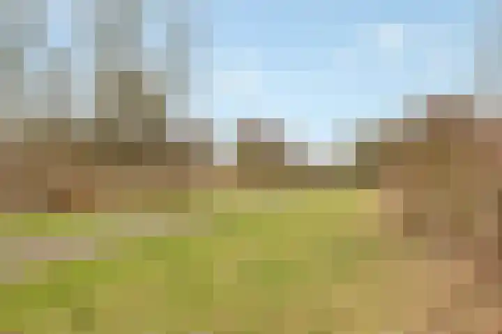 Hofstedestraat 3 Almere thumbnail 37