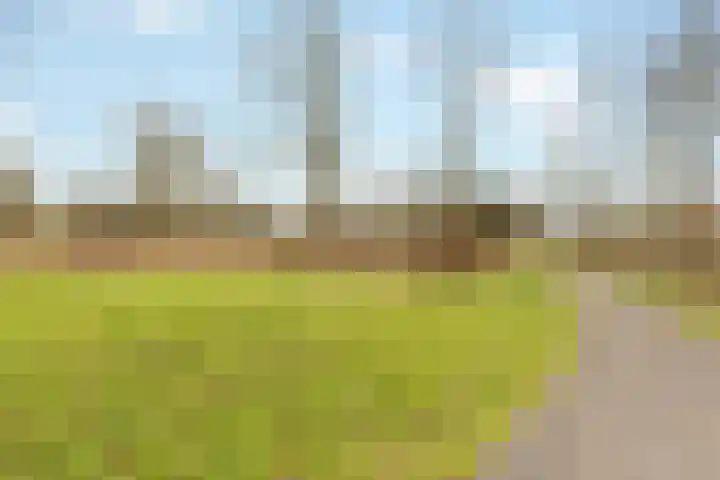 Hofstedestraat 3 Almere thumbnail 38