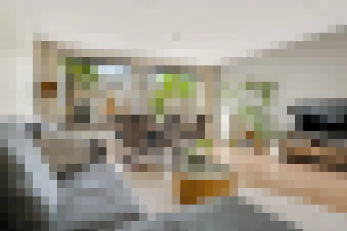 Hofstedestraat 32 Zwolle thumbnail 10