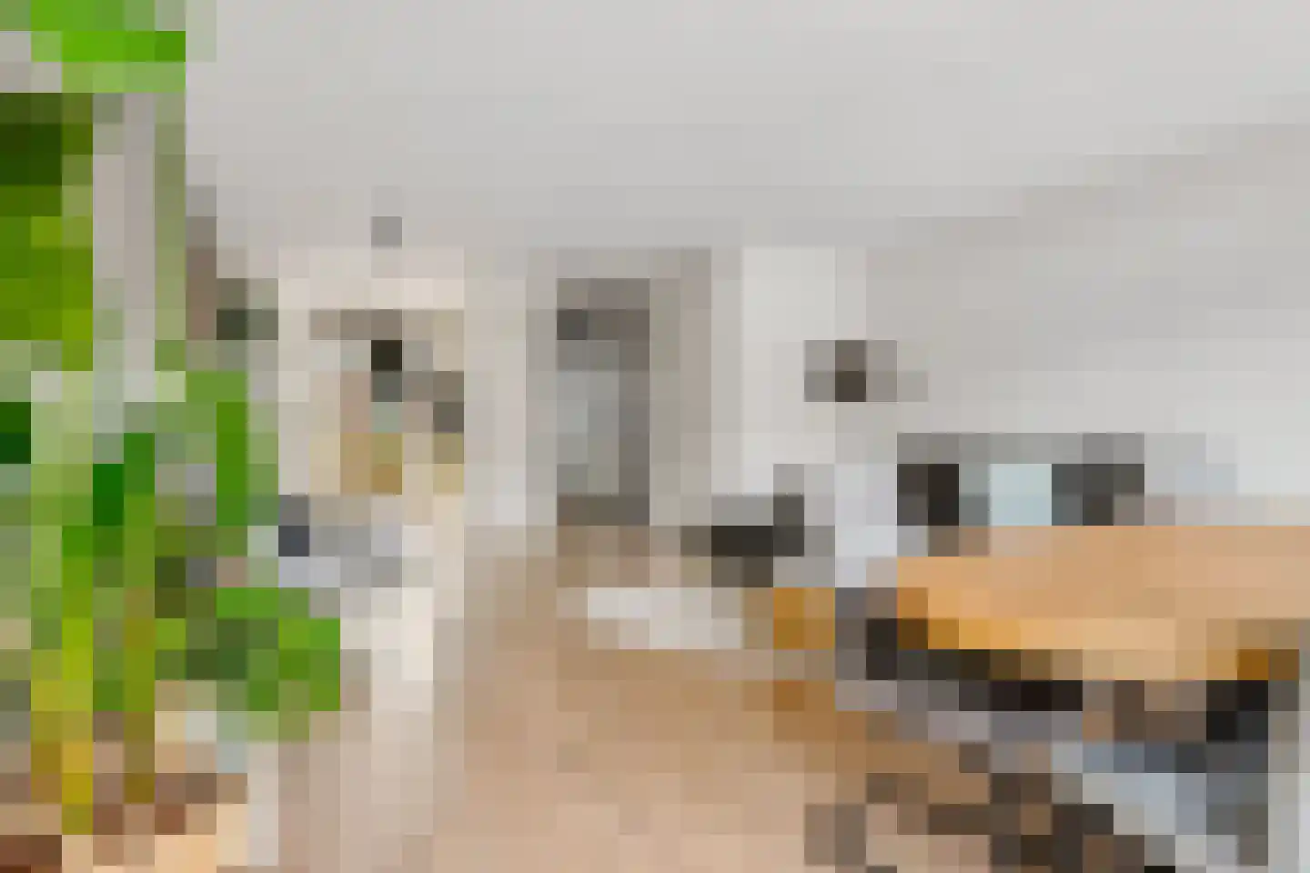 Hofstedestraat 32 Zwolle thumbnail 11