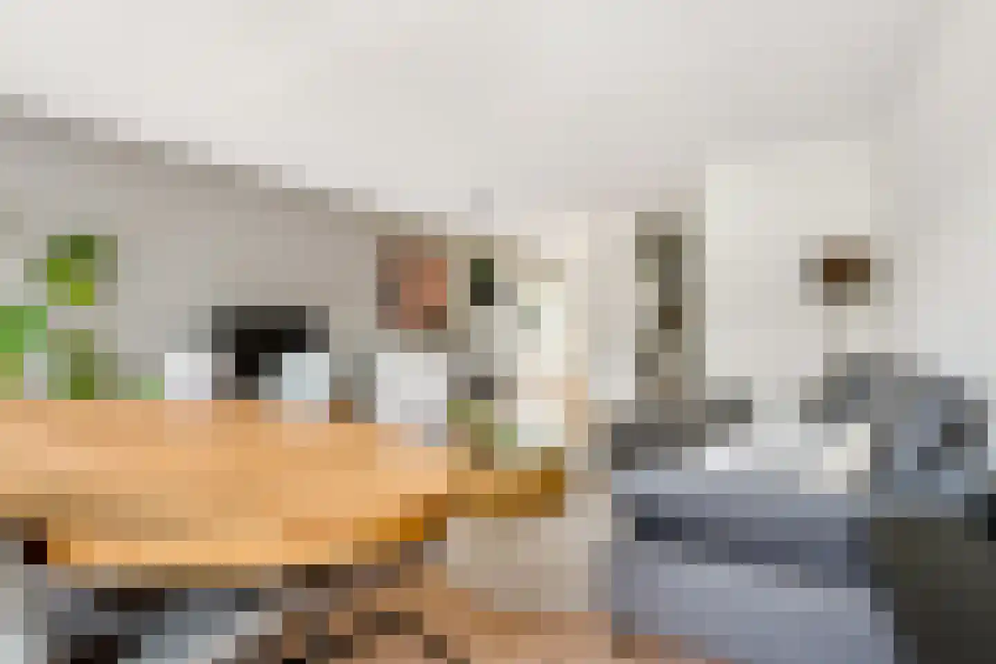 Hofstedestraat 32 Zwolle thumbnail 13