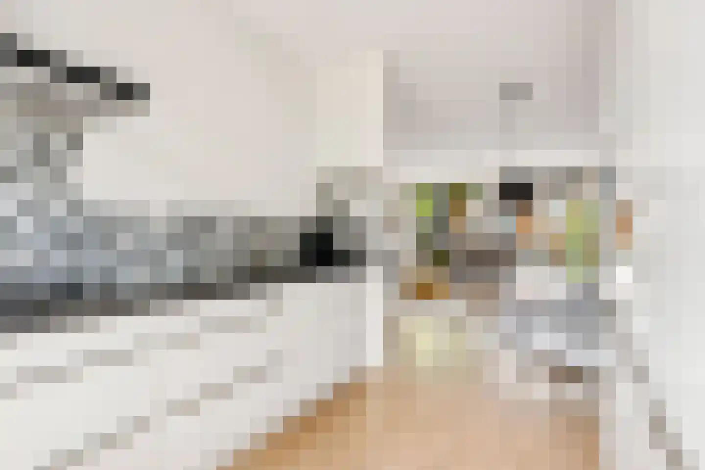 Hofstedestraat 32 Zwolle thumbnail 16