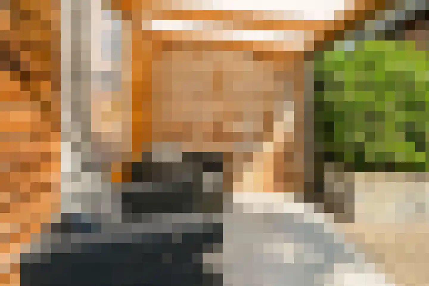 Hofstedestraat 32 Zwolle thumbnail 42