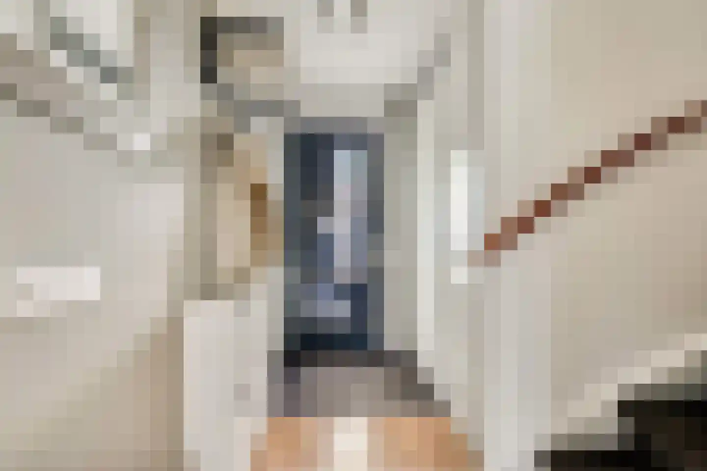 Hofstedestraat 32 Zwolle thumbnail 6