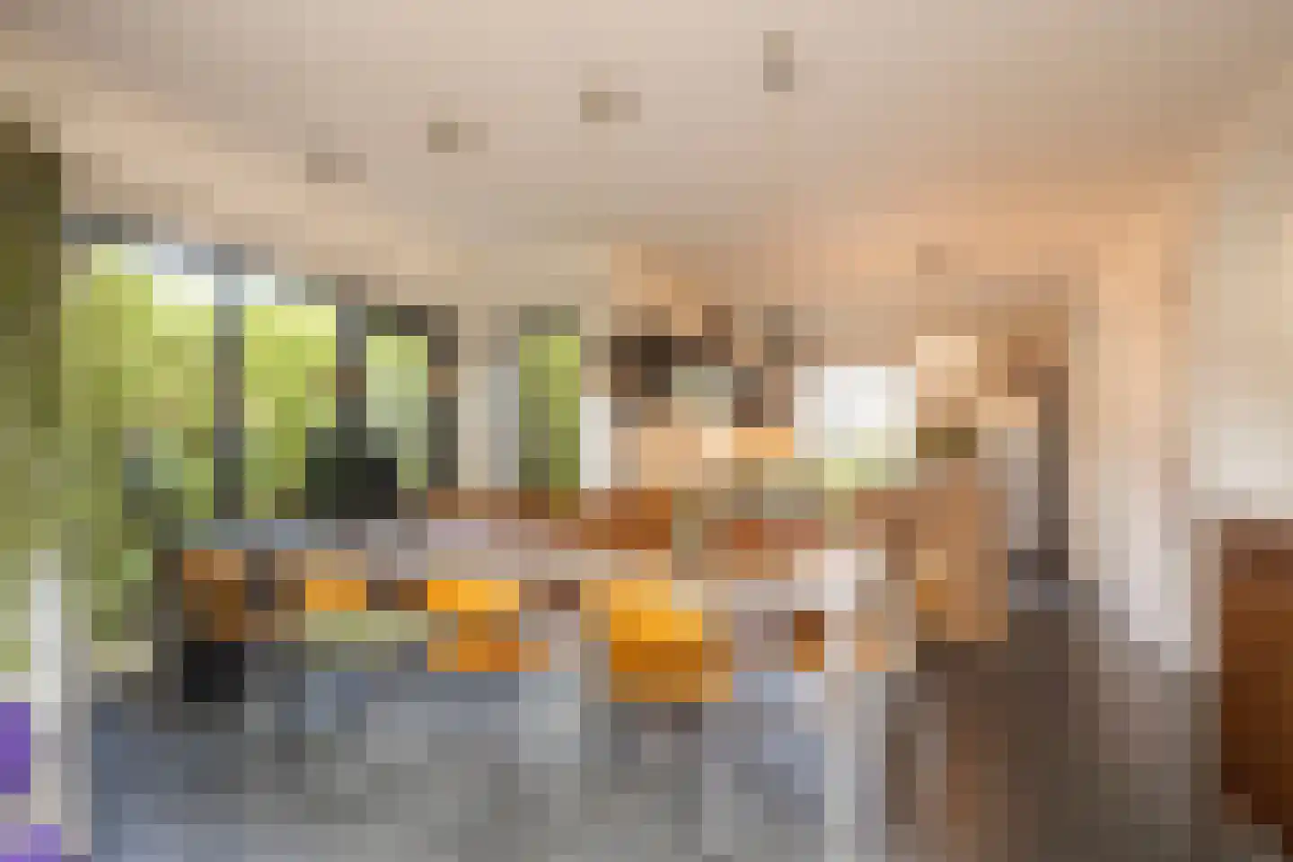 Hofstedeweg 204 Enschede thumbnail 17