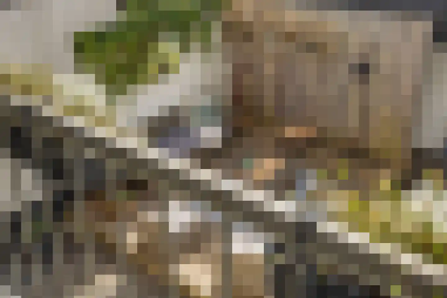 Hofstedeweg 204 Enschede thumbnail 24