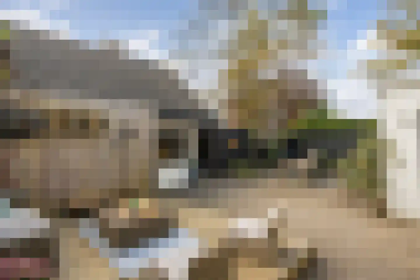 Hofstedeweg 204 Enschede thumbnail 35